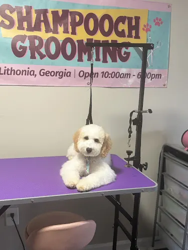 Shampooch Mobile Grooming LLC - Image 1