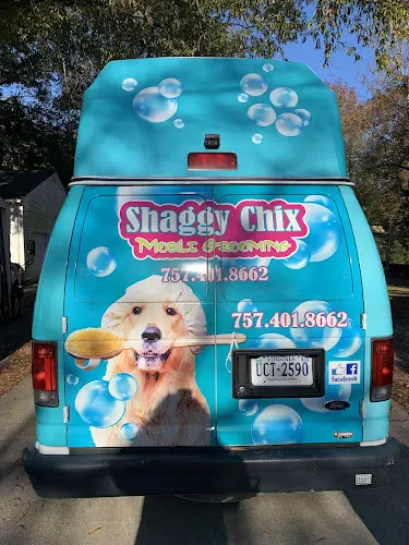 Shaggy chix mobile grooming - Image 1