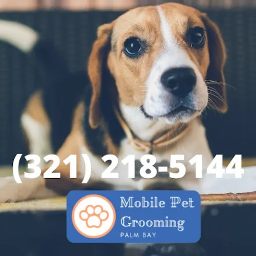 Mobile Pet Grooming Palm Bay - Image 1