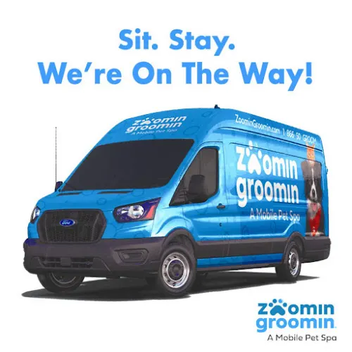Zoomin Groomin - A Mobile Pet Spa - Image 1