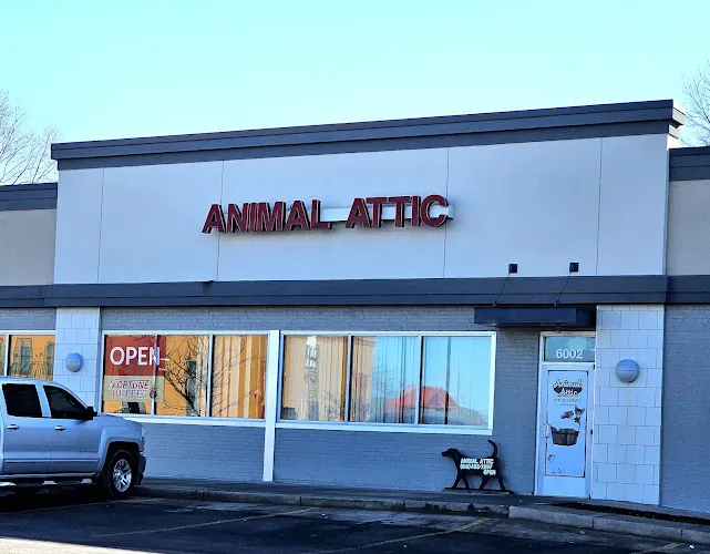 Animal Attic - Image 1