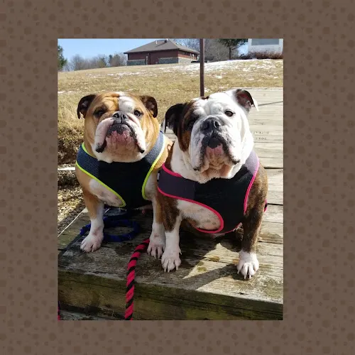 Musselman's Pet Paradise Inc - Image 1