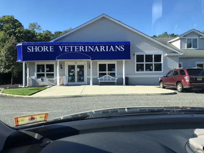 Shore Veterinarians - Image 1