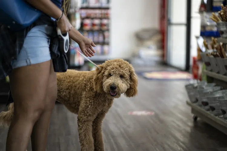 The Dog Stop - Kenner, LA - Image 1