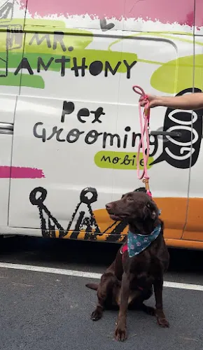 Mr. Anthony Pet Grooming Mobile - Image 1