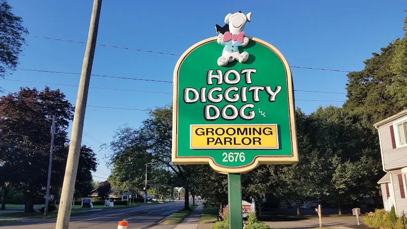 Hot Diggity Dog Grooming Parlor - Image 1
