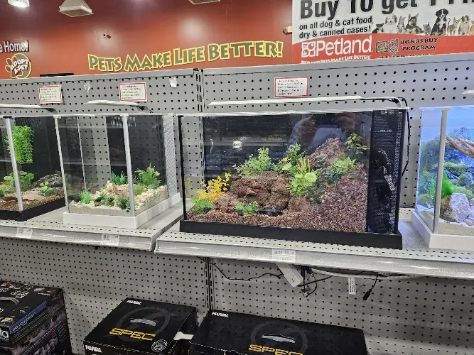 Petland Bolingbrook - Image 1