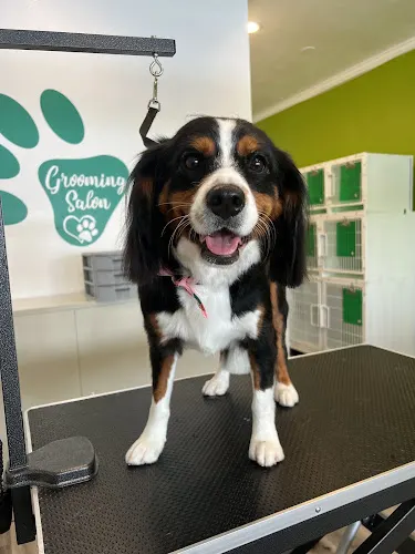 Quick Grooming Pet Salon & Spa - Image 1