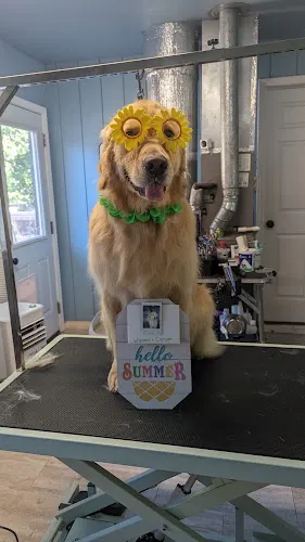 The Fairy Dog Groomer - Image 1