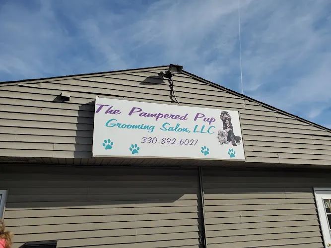 Pampered Pup Grooming Salon - Image 1