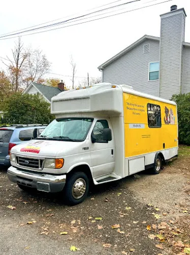 Golden retreat mobile grooming in Coventry, CT