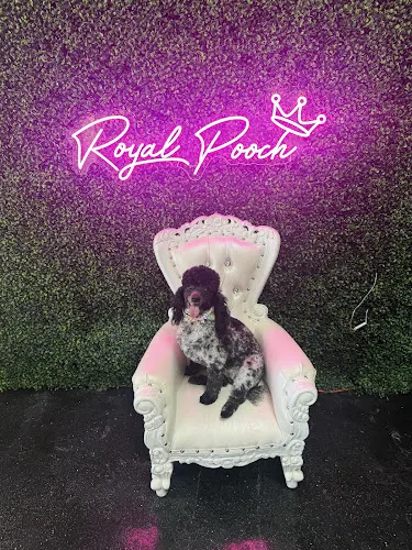 Royal Pooch Dog Grooming - Image 1