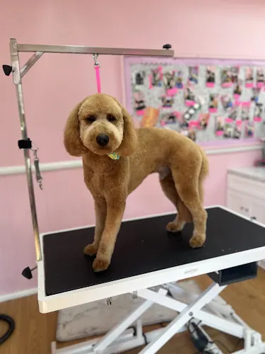 Pink Room Grooms - Image 1