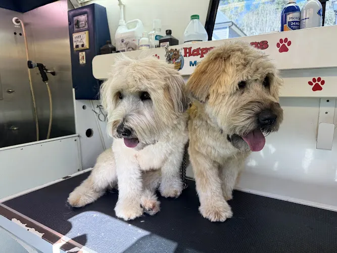 Happy Dogs Mobile Grooming - Image 1