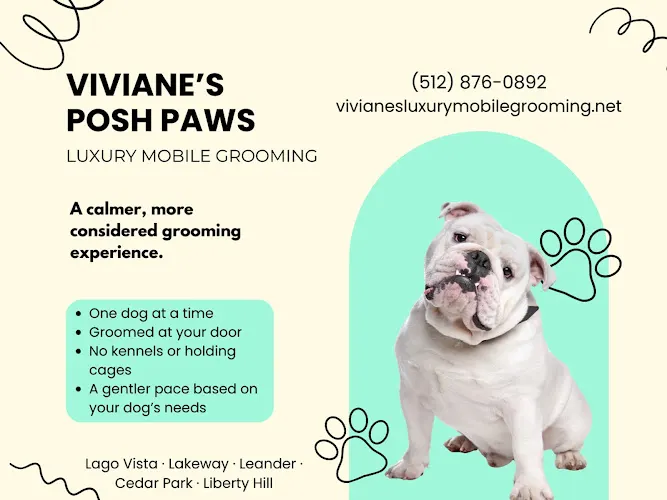 Viviane's Posh Paws, Luxury Mobile Grooming - Image 1