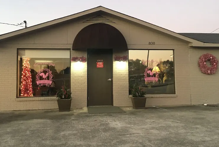 Touch of New York Dog Grooming licensed groomer - Image 1