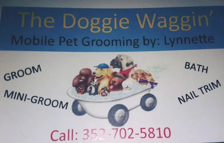 The Doggie Waggin' Mobile Pet Grooming - Image 1