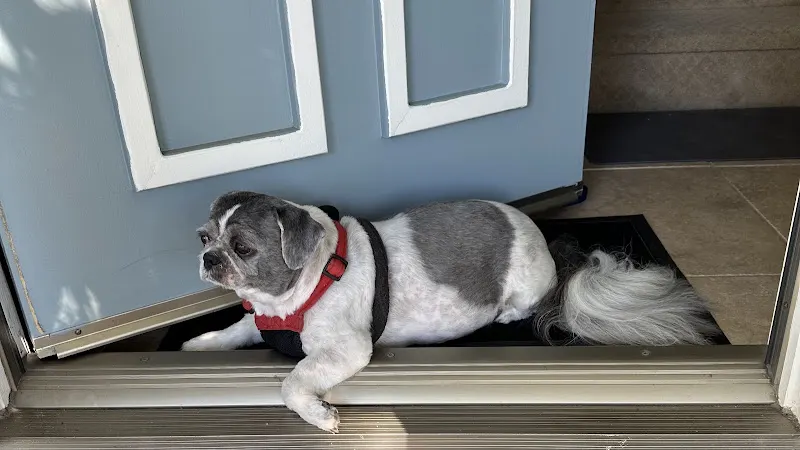 Mobile dog and cat grooming in Redlands, CA