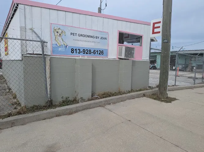 Pet grooming in Oldsmar, FL