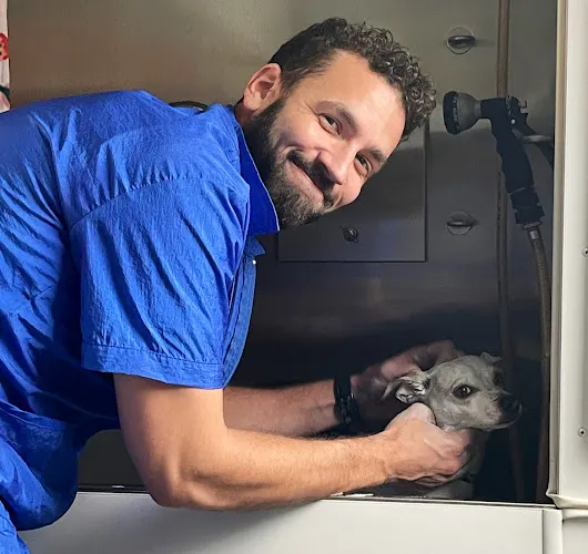 Muddy Mabel Mobile Grooming in Oro Valley, AZ