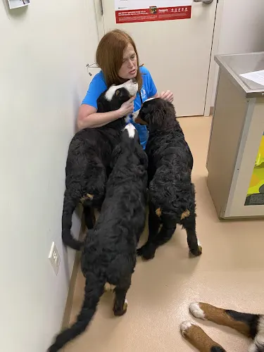 Albin Animal Hospital Mattoon - Image 1