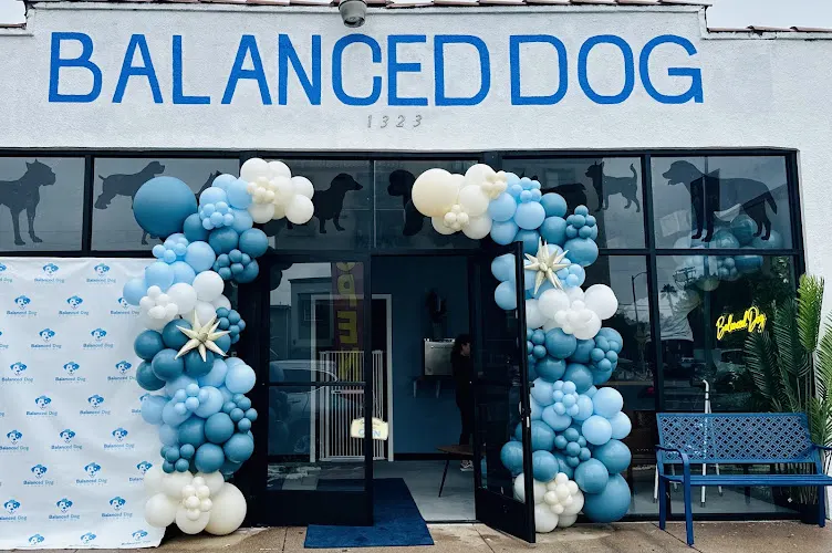 Balanced Dog Grooming - Image 1