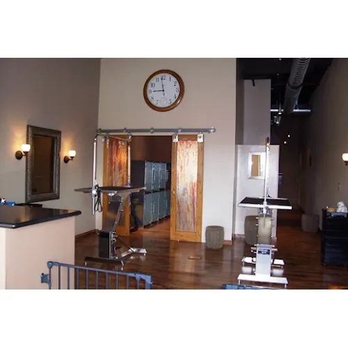 Snouts 'n Suds Dog Grooming - Image 1