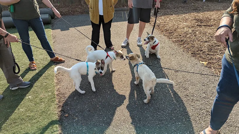 Best Friends Pet Retreat And Day Spa - Image 1
