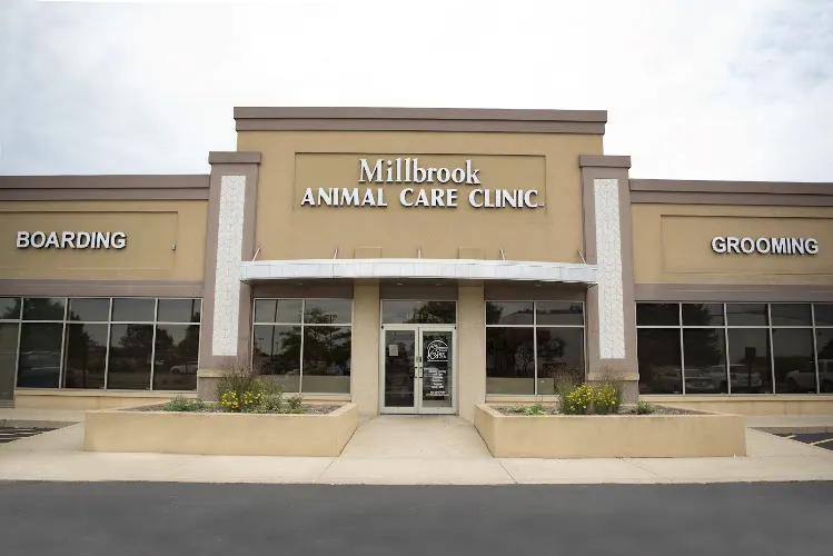 Millbrook Animal Care Clinic in Geneva, IL