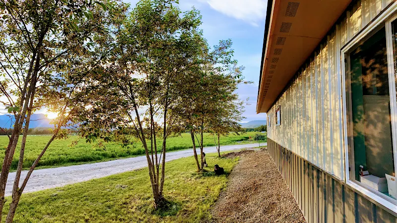 The Country Club - Stables & Boarding - Image 1