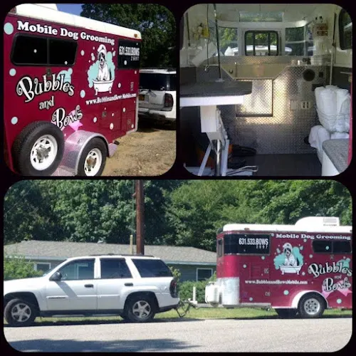 Bubbles and Bows Mobile Dog Grooming - Image 1