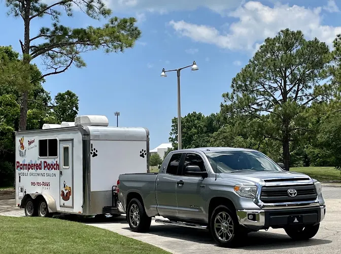 Pampered Pooch Mobile Grooming Salon - Image 1