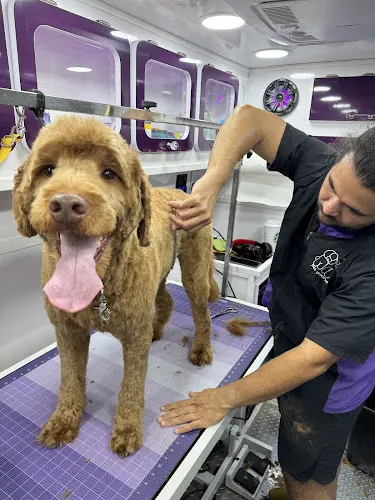 Hug and Trim Mobile Grooming - Image 1