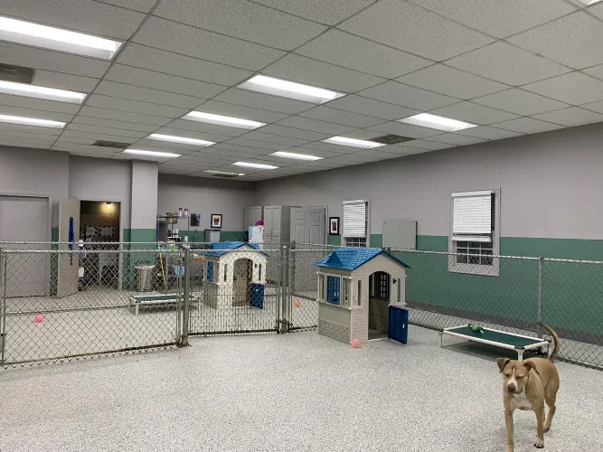 Bark Avenue Pet House in Milford, CT