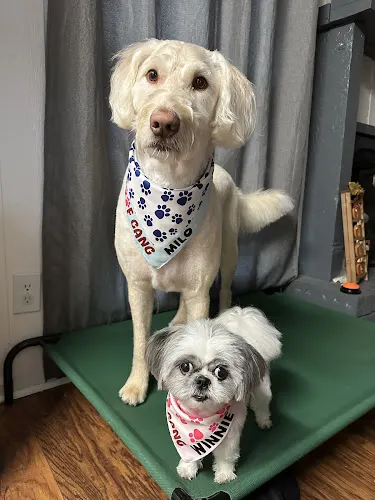 Woof Gang Bakery & Grooming Snellville - Image 1