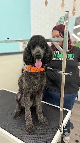 Pet Supplies Plus McAllen Grooming in McAllen, TX