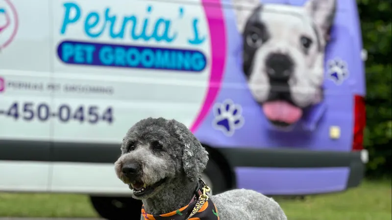 Pernia Pet Grooming Mobile - Image 1