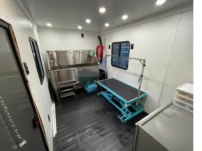 Top Dawg Mobile Grooming - Image 1