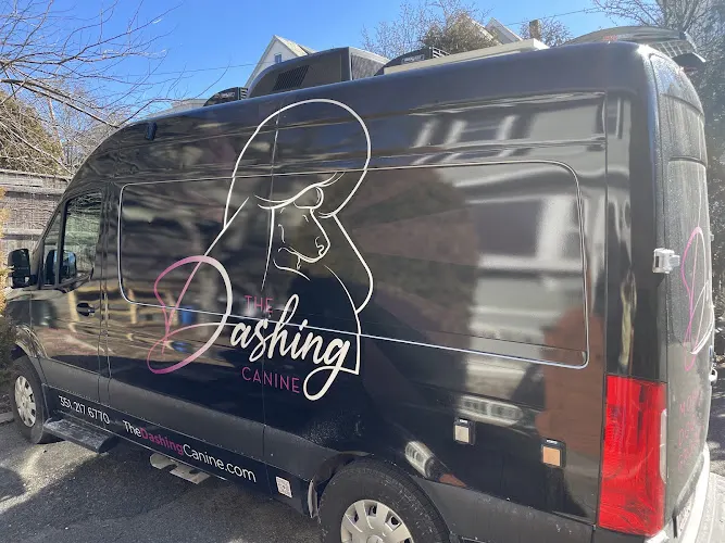 The Dashing Canine in Gloucester, MA