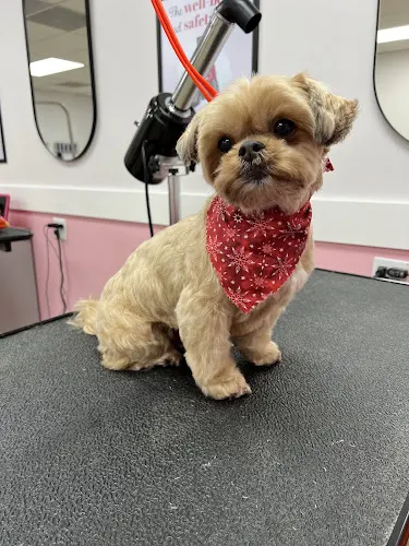 Woof Gang Bakery & Grooming Panther Creek - Image 1