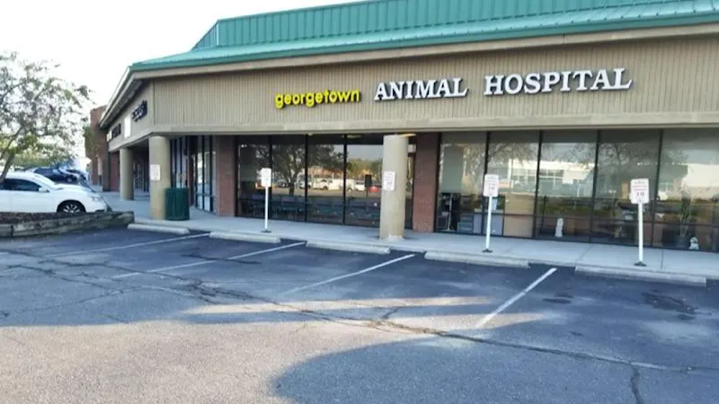 Georgetown Animal Hospital - Image 1