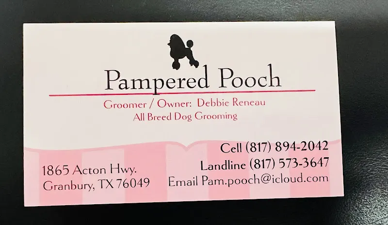 Pampered Pooch - Image 1