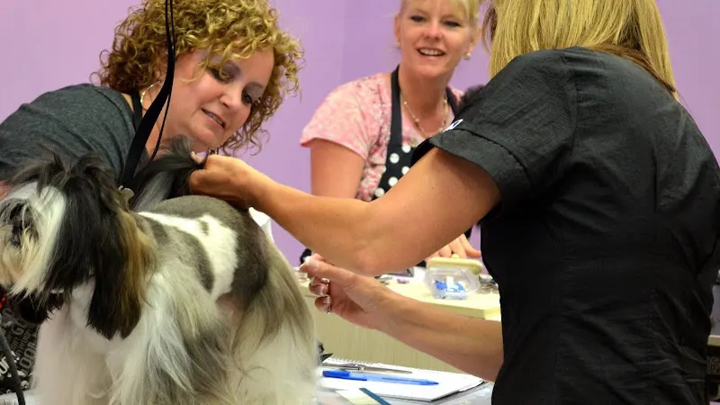 Devine Doggies Mobile Dog Grooming LLC - Image 1