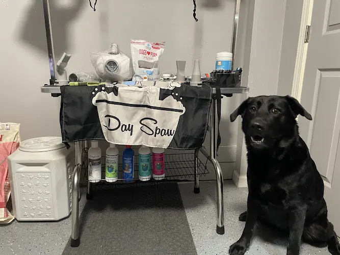 Lola.Spaw.Day - Image 1