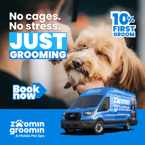 Zoomin Groomin - Image 1