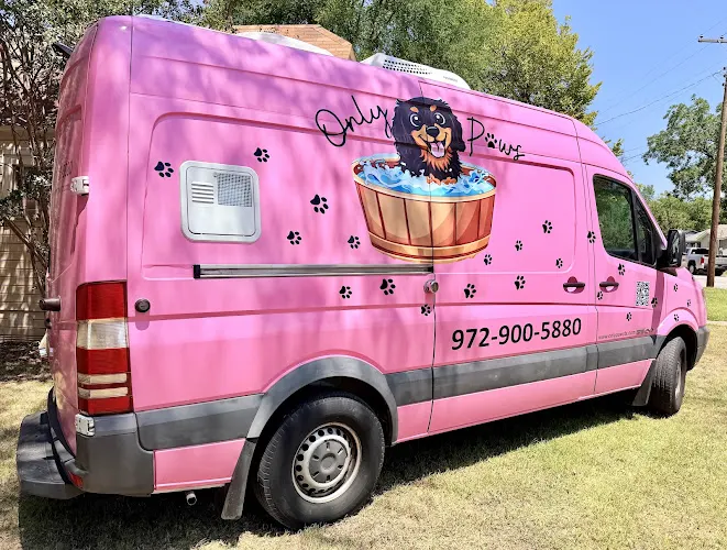 Only Paws Mobile Dog Grooming - Image 1