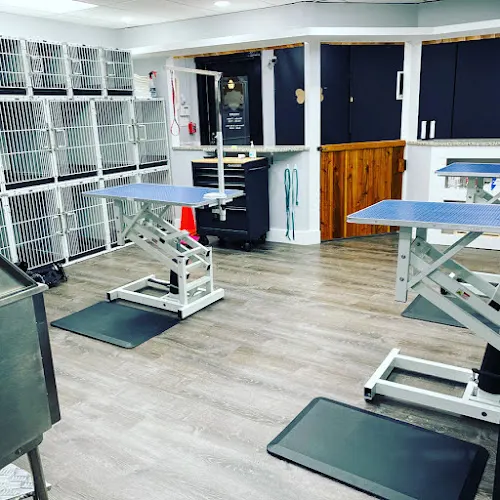 Champions Premier Dog Parlor - West Chester - Image 1