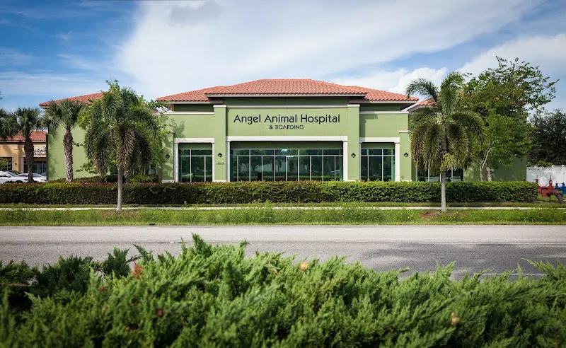 Angel Animal Hospital & Boarding - Image 1