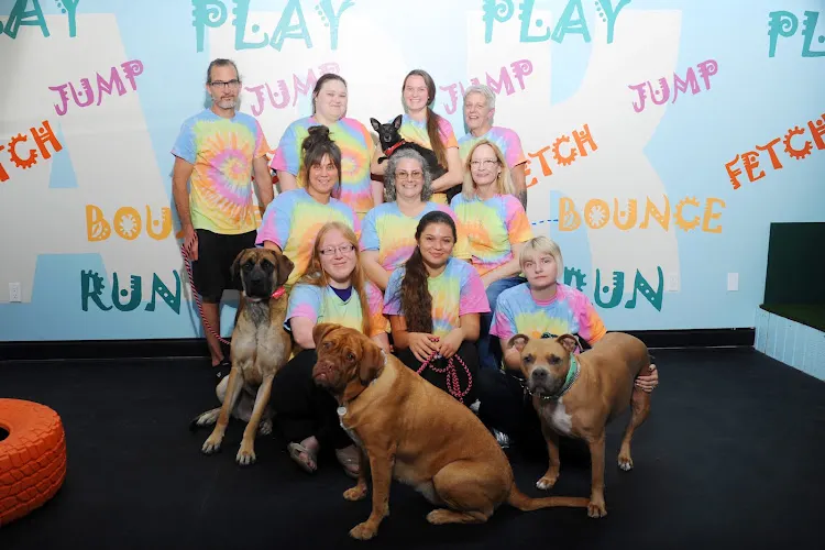 Pet Center - Image 1