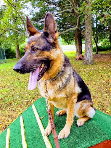 Cranberry Creek Pet Lodging - Image 1